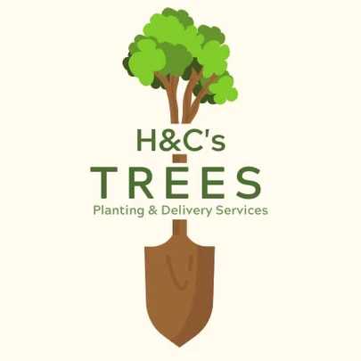 H&C’s Trees